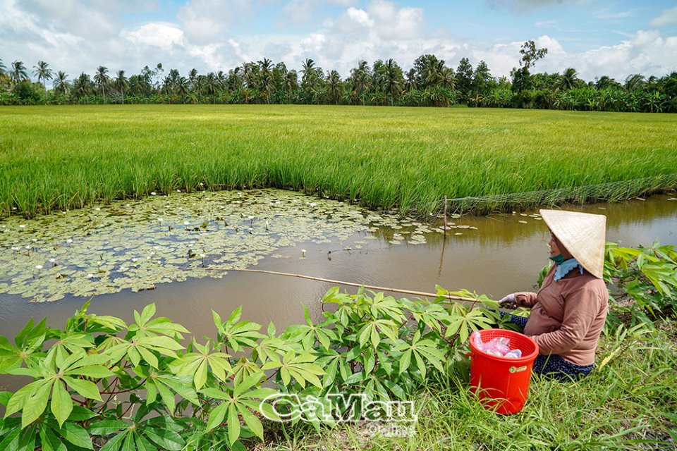 Bài học đầu cho con ; trắc nghiệm bài học đầu cho con ; đọc hiểu bài học đầu cho con