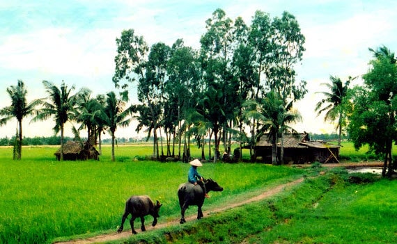 Trắc nghiệm lời chào (nguyễn khoa điềm) ; đọc hiểu lời chào trường ca mặt đường khát vọng ; trắc nghiệm lời chào trường ca mặt đường khát vọng