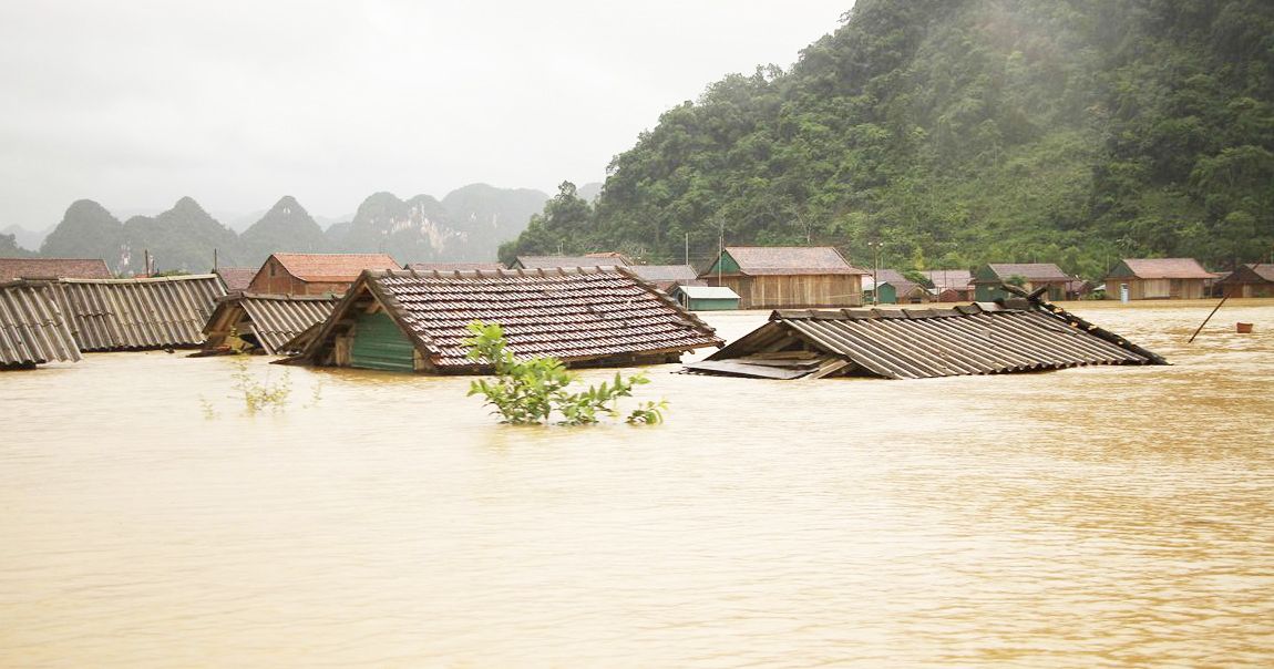 Đọc hiểu Cần một ngày hòa giải để yêu thương