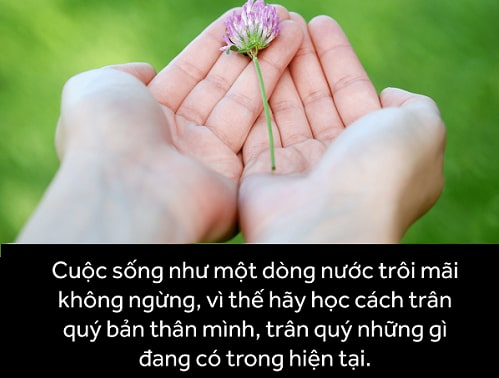 Đọc hiểu Quên hôm qua sống cho ngày mai