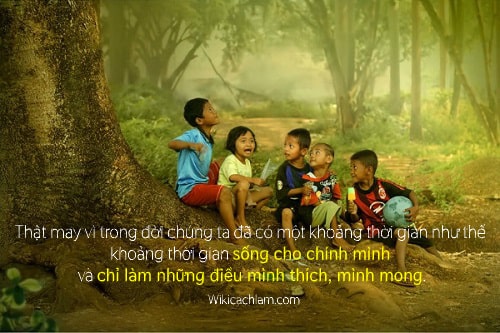 Đọc hiểu Cho tôi xin một vé đi tuổi thơ