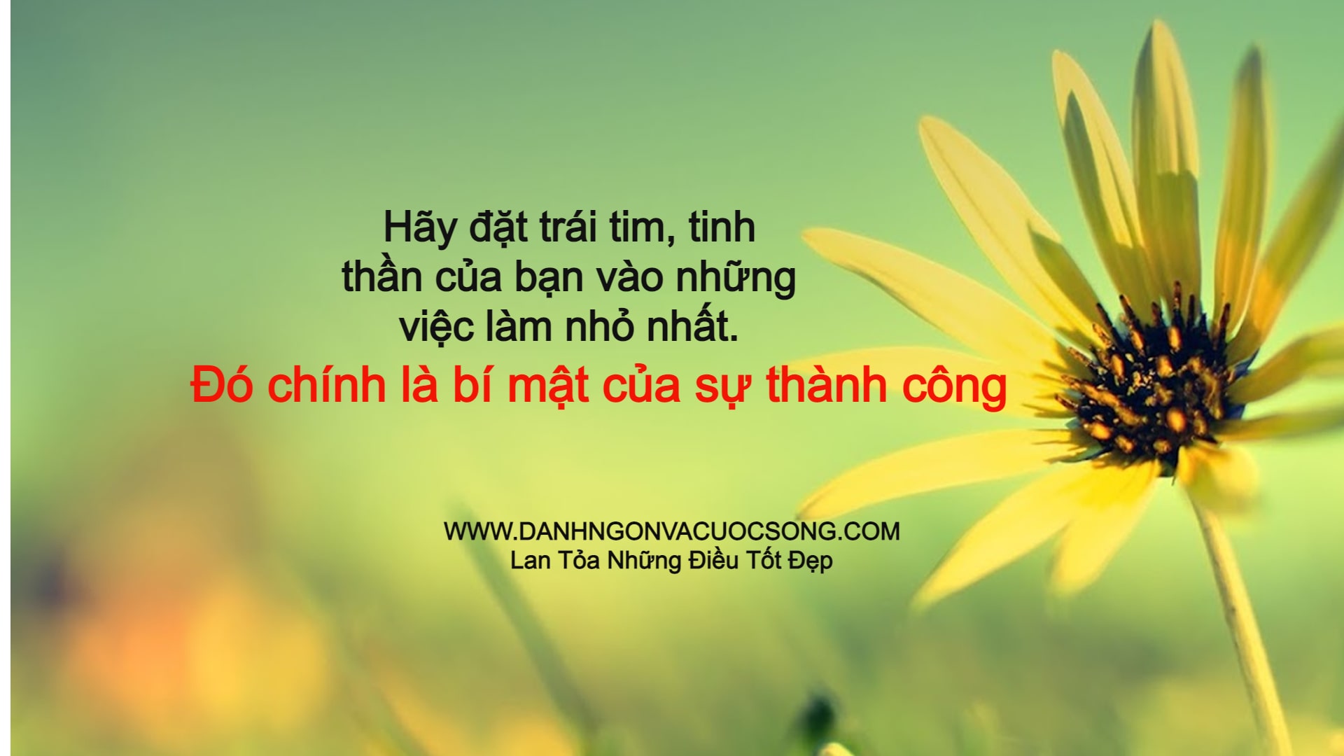 Đọc hiểu Sinh ra là một bản thể đừng chết như một bản sao