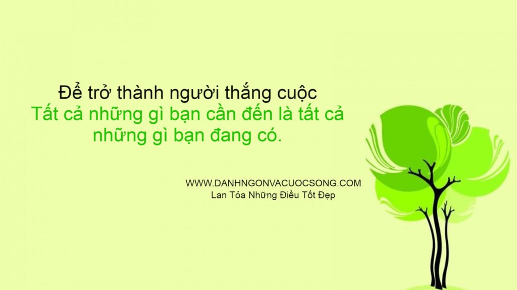 Đọc hiểu Cho đi là còn mãi