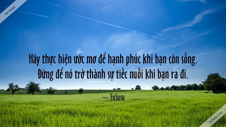 Đọc hiểu Ước mơ của bạn nhất định thành hiện thực