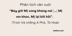 Bây giờ Mị cũng không nói