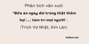 Bữa cơm ngày đói trông thật thảm hại