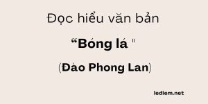 Đọc hiểu Bóng lá mẹ giờ như lá trầu khô