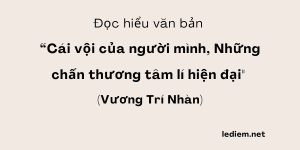 Đọc hiểu Cái vội của người mình