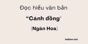 Đọc hiểu Cánh đồng Ngân Hoa