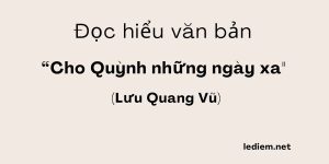 Đọc hiểu Cho Quỳnh những ngày xa