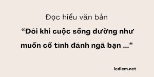 Đọc hiểu Đôi khi cuộc sống dường như muốn cố tình đánh ngã bạn