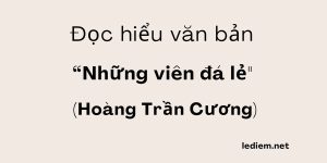 Đọc hiểu Những viên đá lẻ