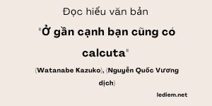 Đọc hiểu Ở gần cạnh bạn cũng có calcuta