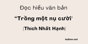 Đọc hiểu Trồng một nụ cười