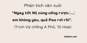 Ngày tết mị cũng uống rượu dàn ý