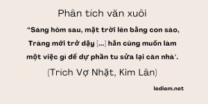 Sáng hôm sau mặt trời lên bằng con sào tràng mới trở dậy