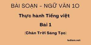 Thực hành tiếng việt bài 1 ngữ văn 10 chân trời sáng tạo