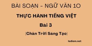 Thực hành tiếng việt bài 3 ngữ văn 10 chân trời sáng tạo