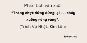 Tràng chợt đứng dừng lại