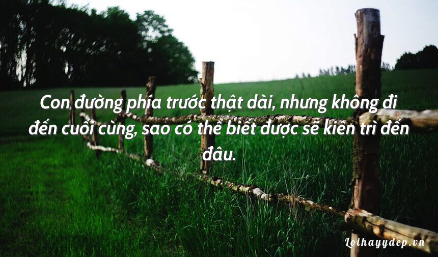 Đọc hiểu Tiếng hát trong rừng