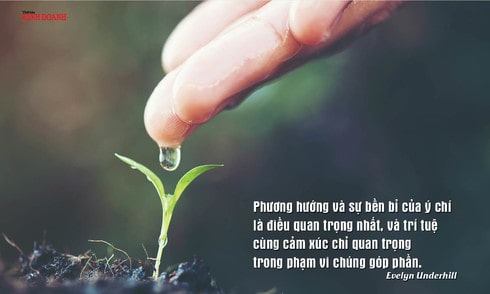 Đọc hiểu hàn gắn vết thương