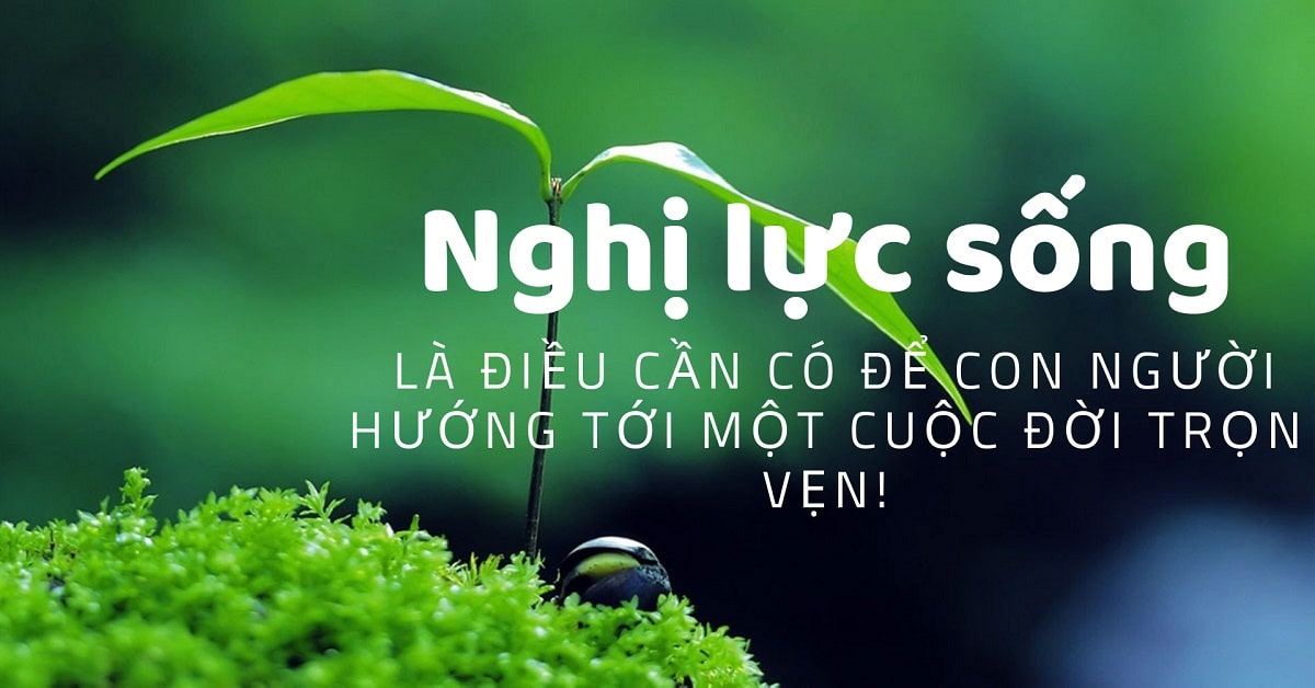 Đọc hiểu Một thái độ ứng xử tích cực