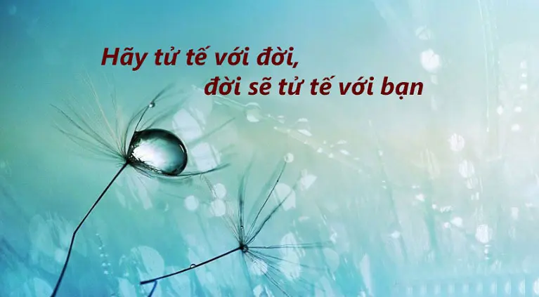 hỏi hữu thỉnh ; Đọc hiểu bài thơ Hỏi ; đọc hiểu hỏi hữu thỉnh ; đọc hiểu hỏi