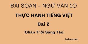 Thực hành tiếng việt bài 2 ngữ văn 10 chân trời sáng tạo