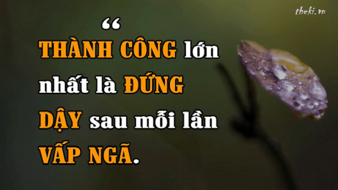 Đọc hiểu Một thái độ ứng xử tích cực