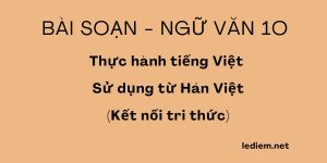 Sử dụng từ hán việt lớp 10 ; thực hành tiếng việt sử dụng từ hán việt ; 