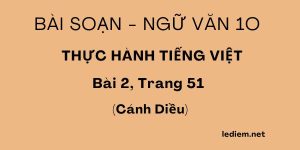 Thực hành tiếng việt 10 cánh diều trang 51 