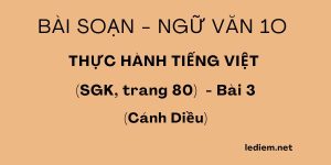 Thực hành tiếng việt 10 cánh diều trang 80 