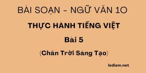 Thực hành tiếng việt bài 5 ngữ văn 10 chân trời sáng tạo