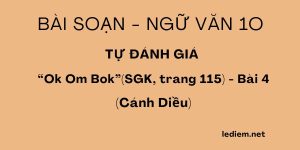 Tự đánh giá ok om bok ; văn 10 cánh diều tự đánh giá trang 115 ; soạn bài tự đánh giá lễ hội ok om bok ; bài tự đánh giá lễ hội ok om bok ; lễ hội ok om bok