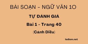 Tự đánh giá trang 40 sgk văn 10 cánh diều