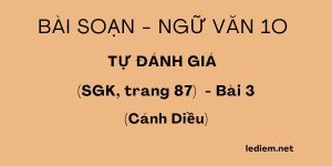 Tự đánh giá xử kiện lớp 10 ; tự đánh giá văn 10 cánh diều trang 87  