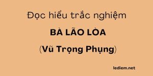 Bà lão lòa  ; bà lão lòa đọc hiểu ; bà lão lòa trắc nghiệm ; đọc hiểu bà lão lòa ; trắc nghiệm bà lão lòa