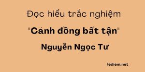 Cánh đồng bất tận ; trắc nghiệm cánh đồng bất tận ; đọc hiểu cánh đồng bất tận ;