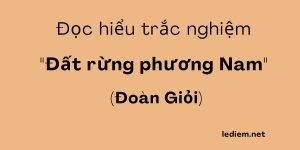 Đọc hiểu đất rừng phương nam