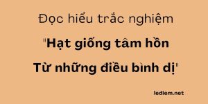 Hạt giống tâm hồn từ những điều bình dị ; hạt giống tâm hồn từ những điều bình dị đọc hiểu ; trắc nghiệm hạt giống tâm hồn từ những điều bình dị