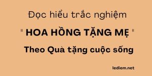 trắc nghiệm hoa hồng tặng mẹ