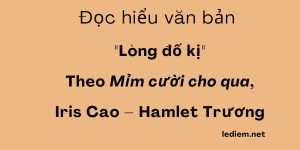 Lòng đố kị ; đọc hiểu lòng đố kị ; lòng đố kị đọc hiểu