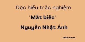 mắt biếc ; trắc nghiệm mắt biếc ; đọc hiểu mắt biếc