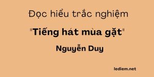 tiếng hát mùa gặt ; đọc hiểu tiếng hát mùa gặt ; trắc nghiệm tiếng hát mùa gặt ;