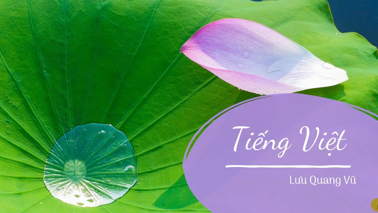 đọc hiểu tiếng việt ; trắc nghiệm tiếng việt lưu quang vũ