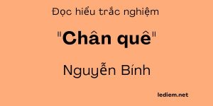 Trắc nghiệm chân quê , trắc nghiệm chân quê của nguyễn bính , đọc hiểu chân quê