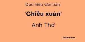 Đọc hiểu chiều xuân trắc nghiệm, trắc nghiệm chiều xuân, đọc hiểu chiều xuân