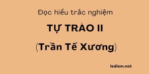 Tự trào tú xương ; đọc hiểu tự trào tú xương ; trắc nghiệm tự trào tú xương ; tự trào tú xương đọc hiểu ; tự trào tú xương trắc nghiệm