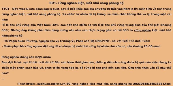 văn bản thông tin ; trắc nghiệm văn bản thông tin