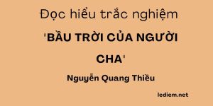 bầu trời của người cha ; trắc nghiệm bầu trời của người cha ; bầu trời của người cha đọc hiểu ; bầu trời của người cha trắc nghiệm